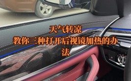 花几百块钱去改后视镜加热的人都懵了(后视镜牙膏效果备胎肥皂)