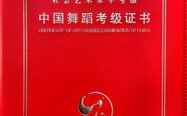 中国舞蹈10级过了有啥用