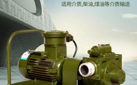 南阳的师傅，专业优秀(油泵师傅专业小毛校友)