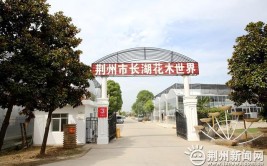 网红花木聚集市场全新升级 荆州市长湖花木大世界等你来