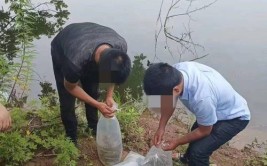 男子涉嫌非法捕捞 投放千尾鱼苗补偿生态(捕捞屯留鱼苗王某等人)