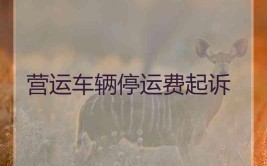 修车损失由租赁公司自行承担(原告车辆上诉人被告损失)