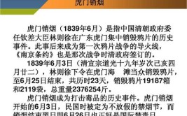 虎门销烟的意义不包括哪些