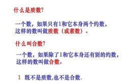 素数跟质数的区别
