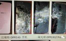 争执中手机被砸？多方介入(手机记者帮忙猫腻加盟店)