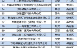 2020年珠海企业100强名单(民营制造业高栏服务业斗门)