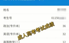 成考年龄超过25加多少分