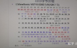 字节的英文名是什么