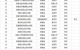 安徽最好的大专院校其中1所有小清华之称无缘本科可以考虑