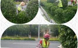 市政园林绿化养护公司服务项目