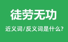 徒劳的近义词和反义词是什么