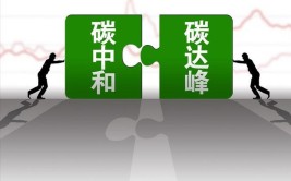 碳12是什么意思