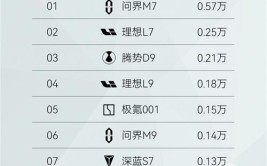 在干啥？(汽车造车默不作声势力干啥)