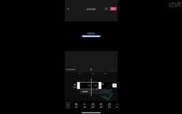 剪映专业版定格为什么是灰色的 用不了(专业版定格灰色功能三郎)