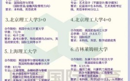 国际本科有哪些学校和专业比较好