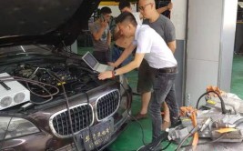 汽车服务行业(宝马修复局部汽车车主)