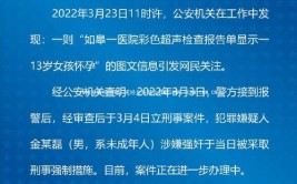 女子害人害己被采取强制措施(划伤轿车女子欠佳害人)