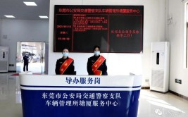 临深片区车主办理车辆业务更方便！塘厦车管服务中心揭牌启用(办理业务服务中心机动车车管)