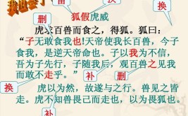 虎不知兽畏己而走也以为畏狐也翻译
