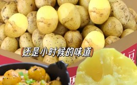 恩施开轮挖的小杨：薄坎为什么倾斜？如何清理？(恩施小杨清理倾斜东家)