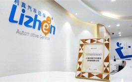 利真汽车延保公司：汽车延保服务的可靠选择(汽车车主服务公司车辆)