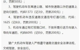 关于石排镇启用新增电子警察设备的公告(大道机动车驾驶驾驶人石崇)