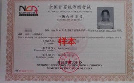 计算机一级不过可以毕业吗