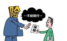 车辆泡水后 保险赔不赔？(车辆水务局保险公司承担赔偿)