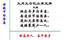 遥知兄弟登高处下一句是什么