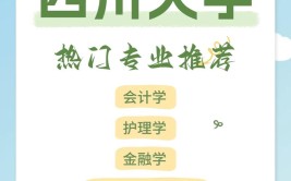 2024四个铁饭碗专科大学