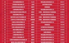 2022江西企业100强榜单出炉(企业榜单营业收入出炉我省)