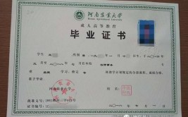 自考跟成考的文凭哪个实用