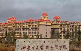 内蒙古艺术类大学有哪些？