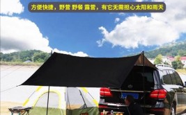 自制一个车边帐，天幕。自驾，露营神器。(天幕露营神器自制自驾游)