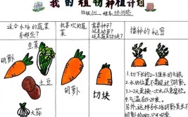 红领巾爱劳动网络云课堂95丨家庭种植绿植的养护小妙招