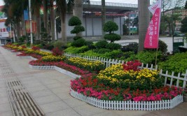 花卉租摆业高温天遇冷何日走出恶性竞争怪圈