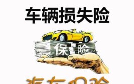 保险公司不予赔偿(单独损坏车险保险公司附加)