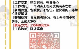 3月31日最新司机招聘 求职 活找车 车找活信息(司机工资驾驶员招聘铲车)