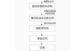 这样操作最快捷！(车驾二手车机动车过户服务站)