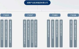 起底恒邦系：接盘新城控股四川项目 曾投资《红海行动》(集团峨眉新城天府房地产开发有限公司)