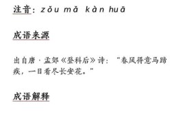 走马观花的观是什么意思