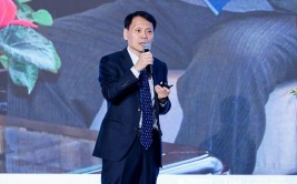 一个村书记的家族式涉黑样本(向阳庄村工程款新京报山城)