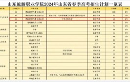 山东旅游职业学院中外合作办学学费多少钱一年