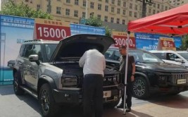 河北衡水启动新能源汽车专用号牌 不合标准汽车不予核发(号牌新能源汽车专用办理)