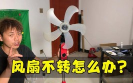 电风扇转速慢或不转，简单处理一下就能好(电机就能电风扇才知道转速)