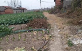 荆州道路快速修理料应用领域？(道路修理应用领域维护停机坪)