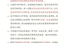香河蒋辛屯镇做好乡村振兴大文章(乡村群众网格发展产业发展)
