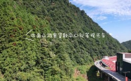 私家车进入四面山景区要预约(景区预约游客中心集散)