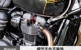 凯旋t120(整流器油箱凯旋拆下螺母)