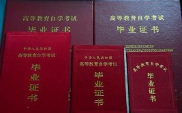函授跟自考毕业文凭的区别大吗